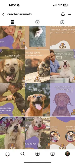 Feed do Instagram @crechecaramelo (Mercado pet), gerido pela iRobusti